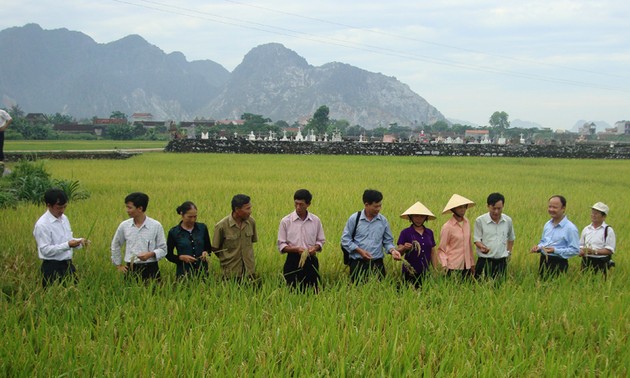 Grupo Anónimo de Materiales e Insumos Agrícolas de Nghe An, pionero en construcción de nuevo campo
