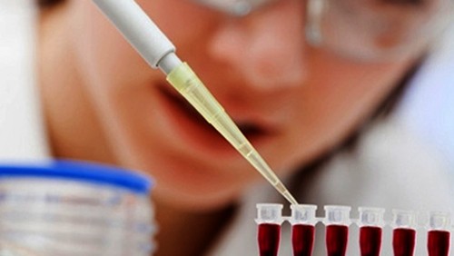 Vietnam anuncia 100 casos exitosos de trasplantes de células madre