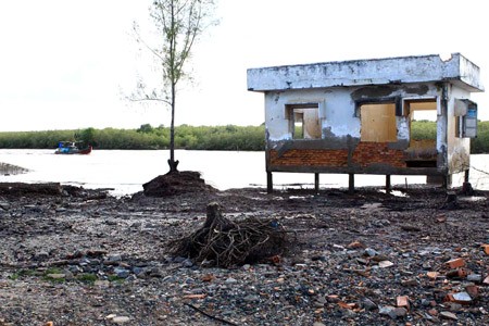 Fortalecen la adaptación al cambio climático en el Delta del Río Mekong