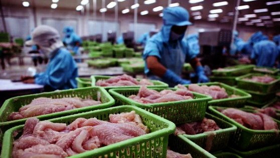 Vietnam: el mayor suministrador de pescados para Colombia