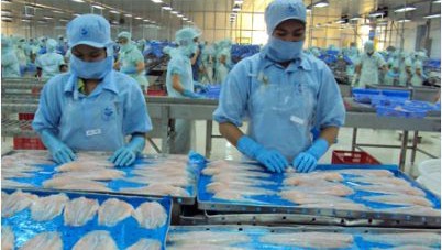 Brasil, el mayor mercado de filetes de pescado congelados de Vietnam