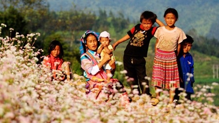 La maravillosa belleza de flores de alforfón en Si Ma Cai