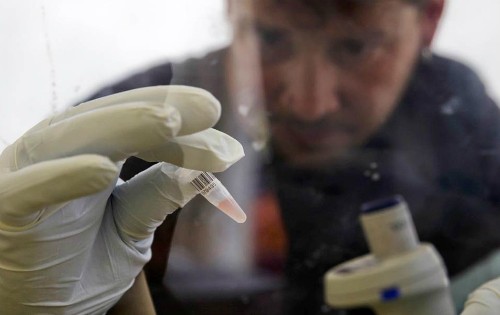 Se aplicarán medicamentos contra Ébola en Africa Occidental