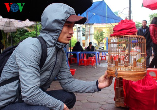 Mercado de aves ornamentales Phuc Yen
