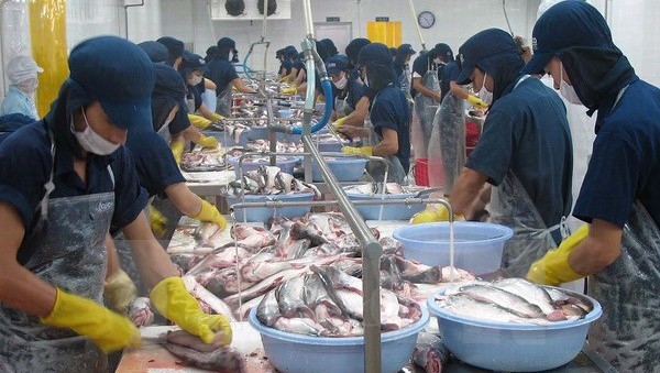 Promociona Vietnam pescados sin escamas en mercado europeo