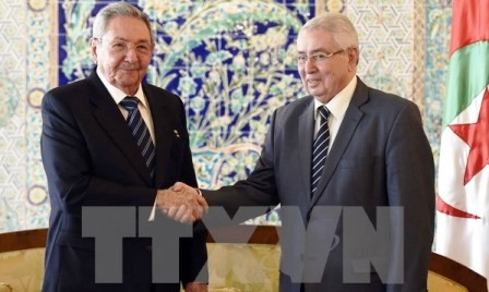 Cuba apoya plenamente la política exterior de Argelia