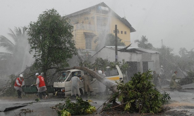 Llama atención presidente vietnamita sobre Prevención y Reducción de desastres naturales