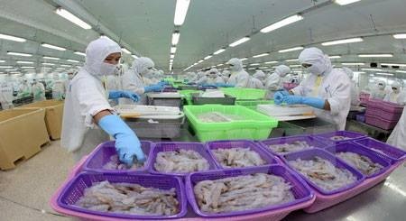 Mejoran competitividad de productos acuíferos de Vietnam