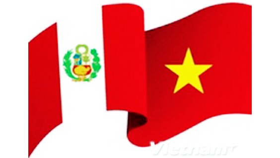 Comercio, sector de cooperación potencial entre Vietnam y Perú