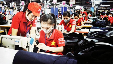 Sector privado, fuerza impulsora para el desarrollo de Vietnam  