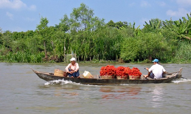 Delta del Mekong listo para integración nacional a TPP 