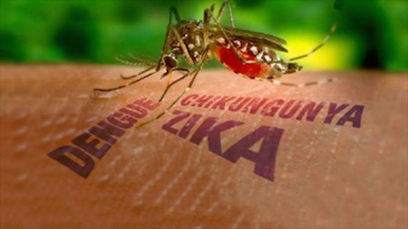 Ministerio de Salud Pública advierte posible expansión del virus Zika
