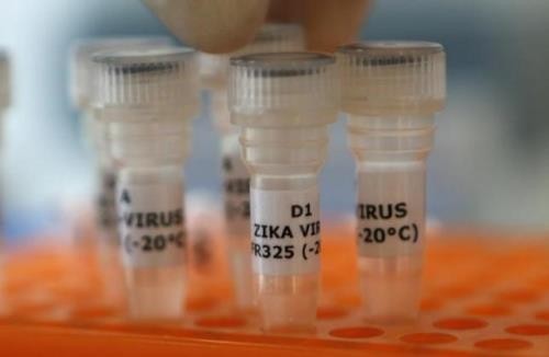 Europa forma grupo de expertos sobre el virus Zika