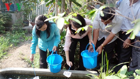 Lanzan campaña de exterminio de mosquitos en Ciudad Ho Chi Minh