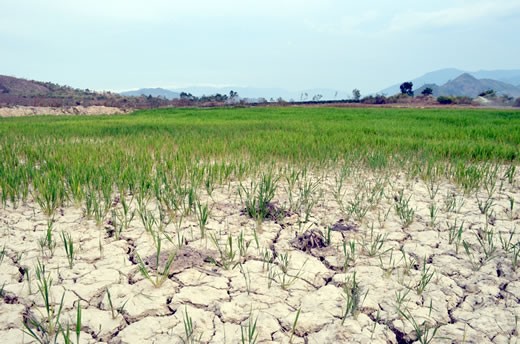 Pobladores del Delta del río Mekong luchan contra el cambio climático