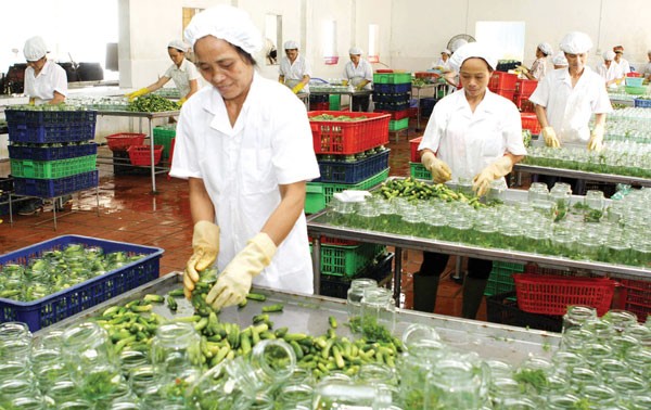 Vietnam busca aumentar exportaciones agrícolas en medio de integración mundial 
