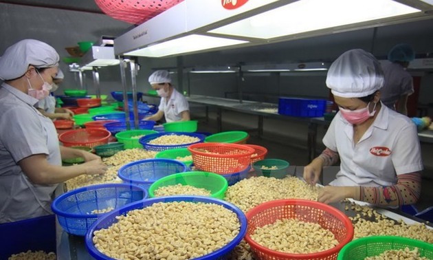 OMC califica de “impresionante” crecimiento de exportación de Vietnam