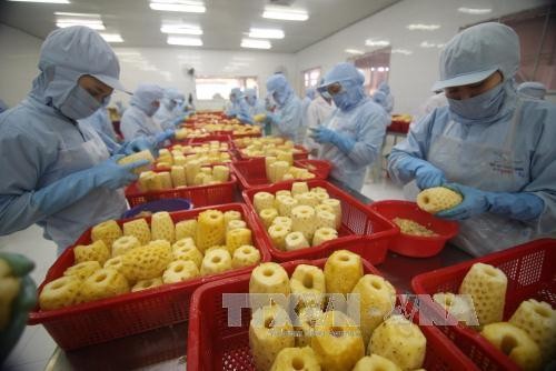 Reconocen crecimiento impresionante de Vietnam en comercio exterior