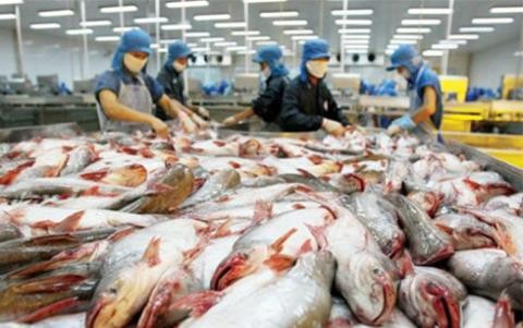 Vietnam elogia revocación estadounidense de supervisión a pescados sin escamas 