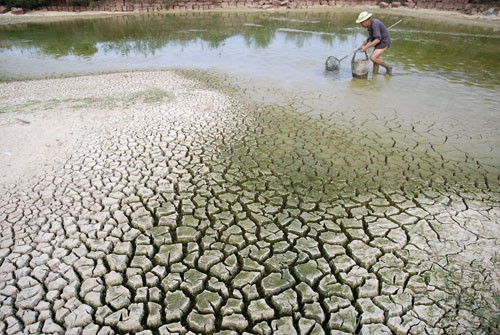 Apoya Banco Mundial proyectos de enfrentamiento al cambio climático de Vietnam