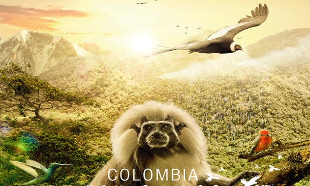 Colombia Magia Salvaje, un espectáculo multicolor de la naturaleza