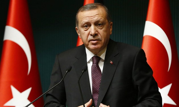 Esfuerzos del gobierno turco en recuperar estabilidad nacional