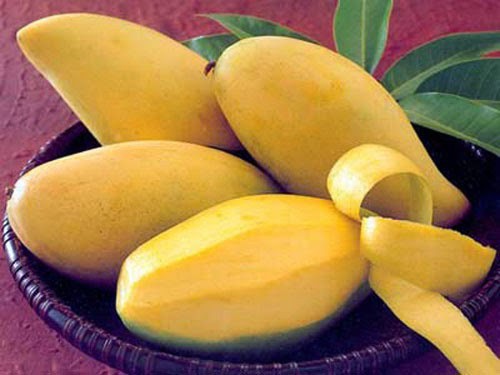 Estados Unidos autoriza importación de mangos frescos y caimitos de Vietnam