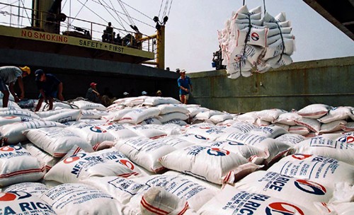 Vietnam busca aumentar exportaciones de arroz de alta calidad hasta 2020