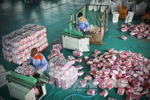 En alza exportaciones surcoreanas a Vietnam