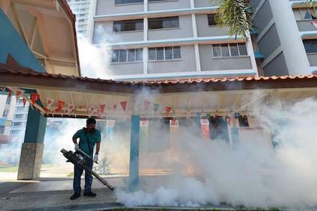 Detectan 38 nuevos casos de Zika en Singapur 