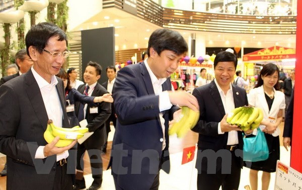 Grupo japonés ayuda a empresas vietnamitas a acceder a su mercado