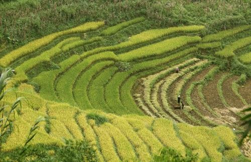 Convertirán a Sapa en Zona Turística Nacional de Vietnam antes de 2030