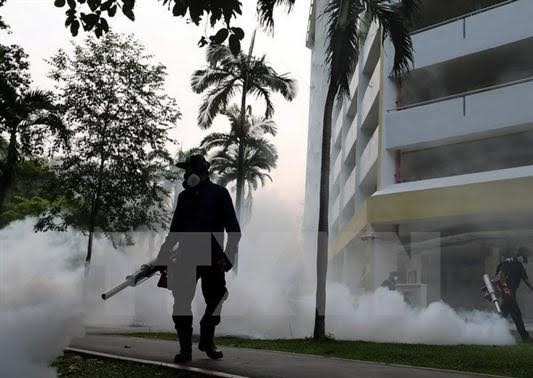 OMS advierte que el Zika seguirá aumentando en Asia-Pacífico