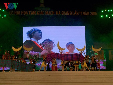 Inauguran segundo Festival de la Flor de Alforfón en Ha Giang