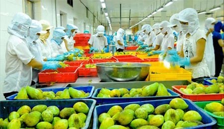 Perspectivas de la exportación de verduras y frutas de Vietnam en la etapa de integración
