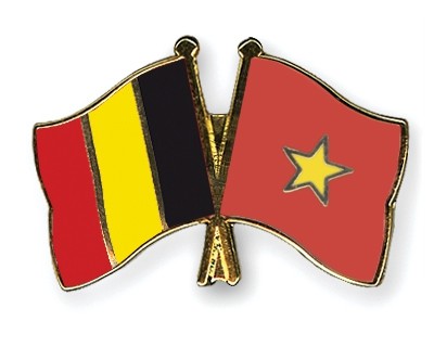 Ciudad Ho Chi Minh y región belga robustecen cooperación en desarrollo urbano