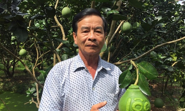 Una visita a la cuna de frutas singulares para el Tet vietnamita