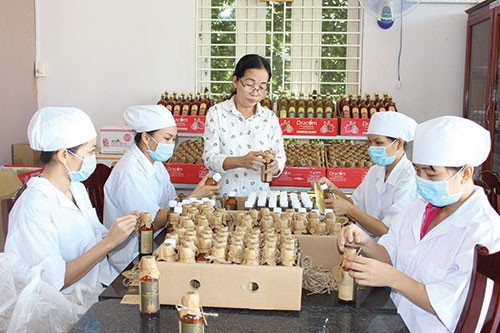 Le Nguyen, una mujer entusiasta con los productos de la fruta del dragón