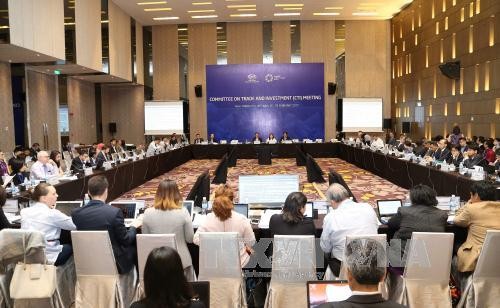 Prosiguen en Nha Trang las primeras reuniones de alto nivel de APEC 