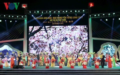 Inauguran Festival de Flores de Cerezo y Ochna de Yen Tu Ha Long 2017