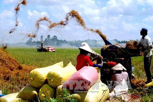 Votantes desean un desarrollo sostenible de la agricultura de Vietnam