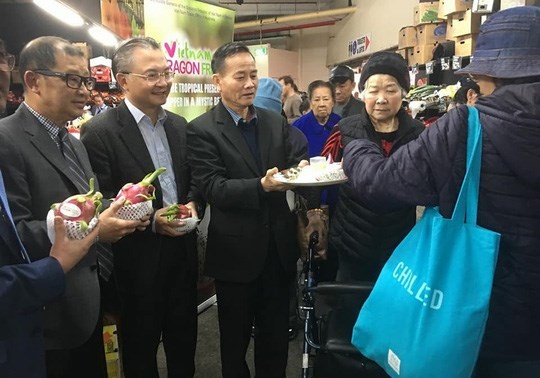 “El día de la pitaya vietnamita” en Australia: nueva oportunidad para los exportadores de frutas