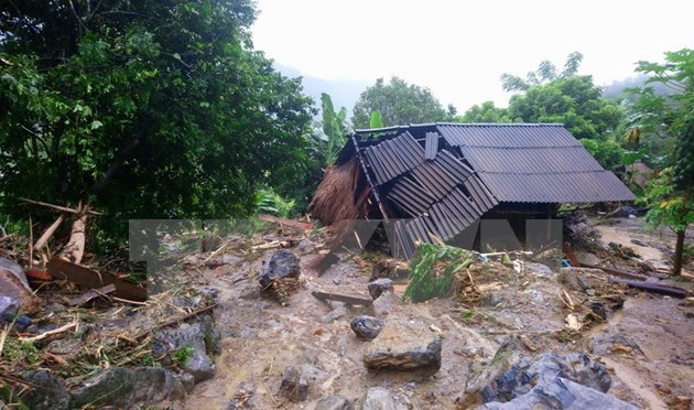 Japón brinda asistencia urgente a las zonas afectadas por inundaciones en Vietnam
