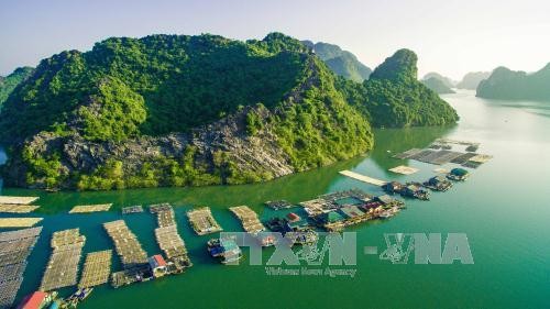 Por el desarrollo turístico sostenible de Vietnam en los patrimonios mundiales