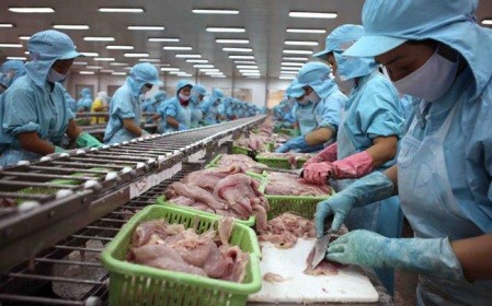 Señales positivas de exportación de productos agrosilvícolas y acuícolas de vietnam en 2018 