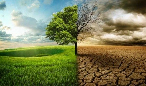 Celebrarán en noviembre el Foro de Hanói sobre el cambio climático