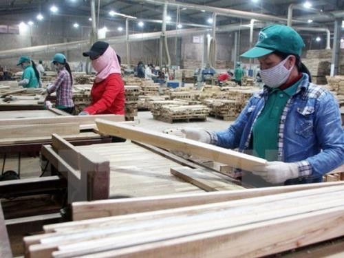 Sector silvícola de Vietnam apuesta por elevar a 9 mil millones de dólares sus ventas externas