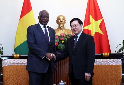 Vietnam y Guinea afianzan relaciones de cooperación