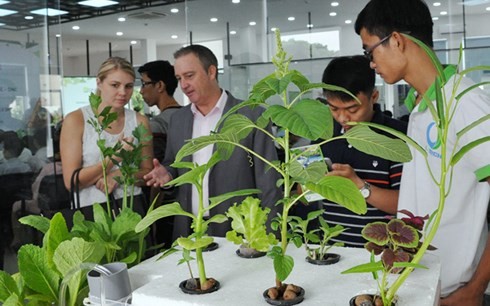 Ciudad centrovietnamita brinda apoyos a decenas de proyectos emprendedores