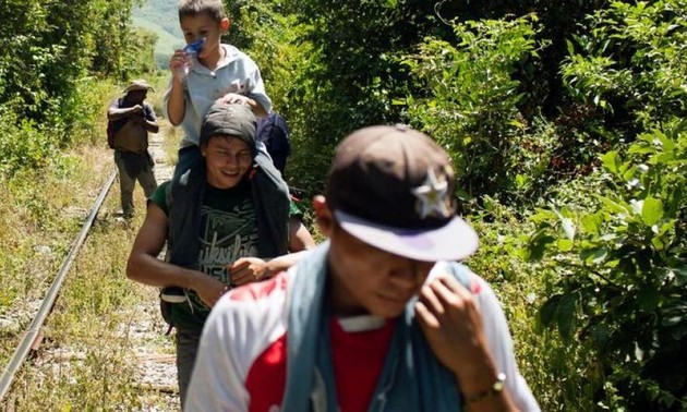 ONU pide respeto a la ley internacional en el trato a los migrantes centroamericanos